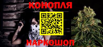 прущие грибы Сланцы