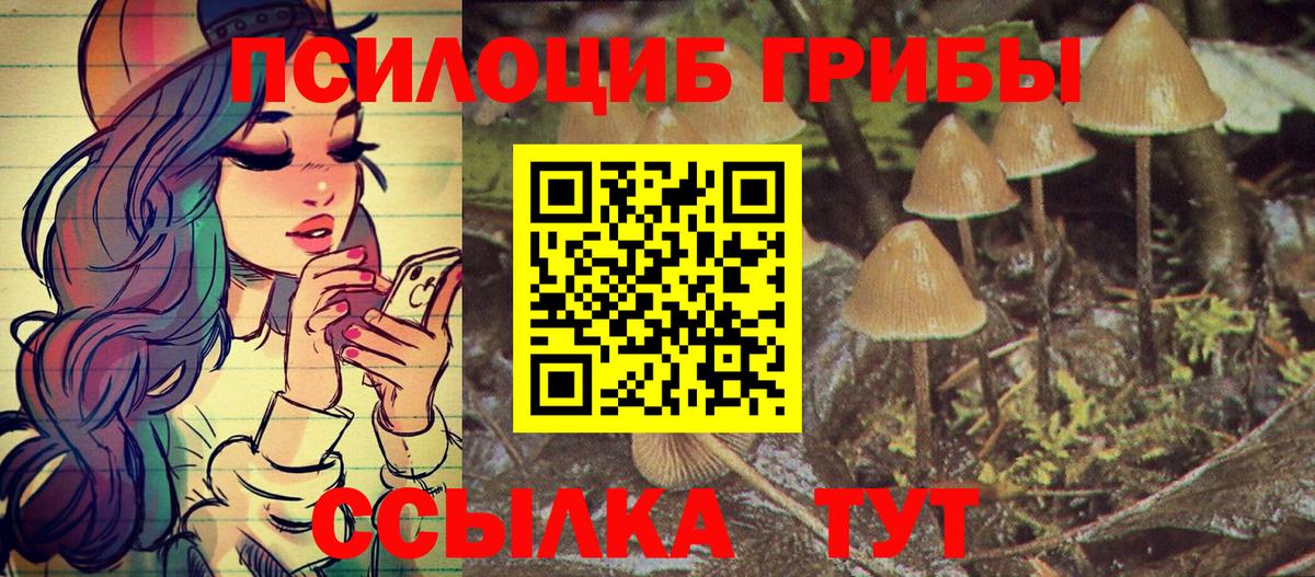 Пугачёв  Псилоцибиновые грибы Magic Shrooms  Вход с VPN  Псилоцибиновые грибы Cubensis 