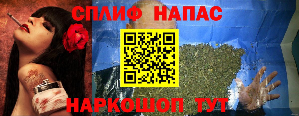 Бошки Шишки индика  Каннабис сатива  Пугачёв  Вход с VPN  Марихуана план  Конопля ГИДРОПОН 